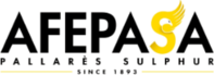 Afepasa, client de CSI