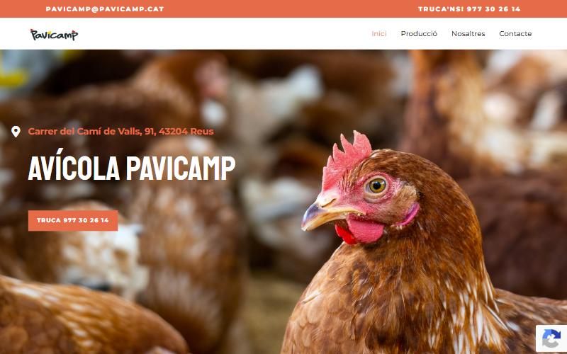 Web de Pavicamp